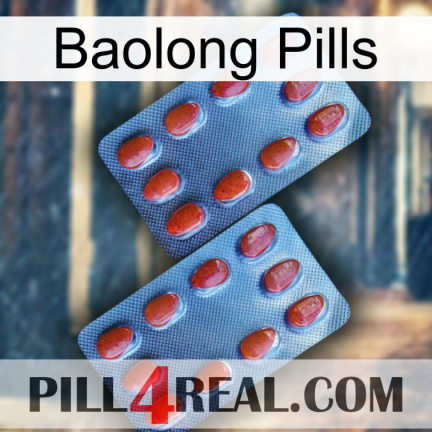 Baolong Pills 05
